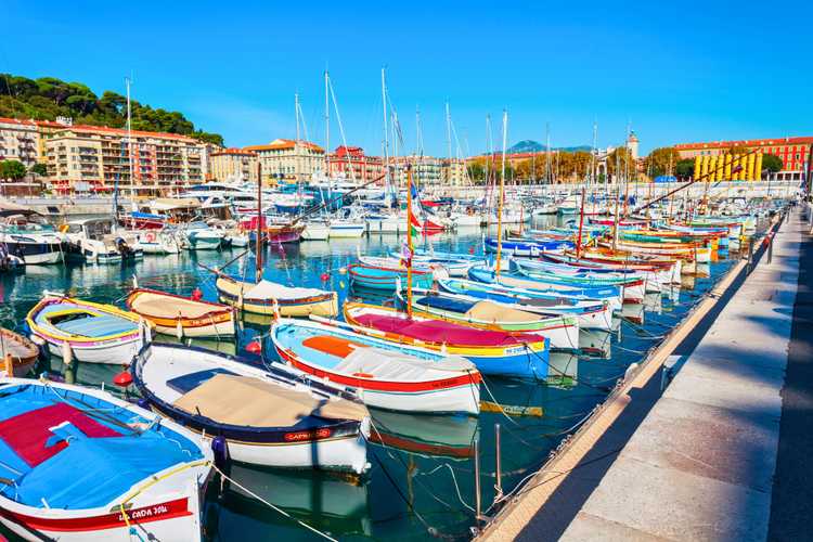 니스에서의 잊지 못할 체험 – 가이드 투어, 당일 여행, 시식, 2026년 진정한 현지 모험